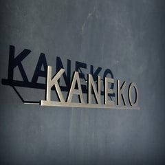 Gold finish durable stud mounted signs company name stainless steel solid cut letters sign