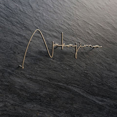 Gold finish durable stud mounted signs company name stainless steel solid cut letters sign